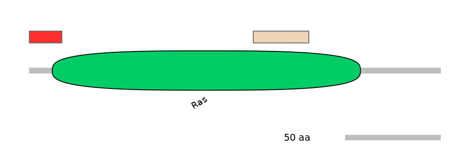 GgaEX1047659-INC