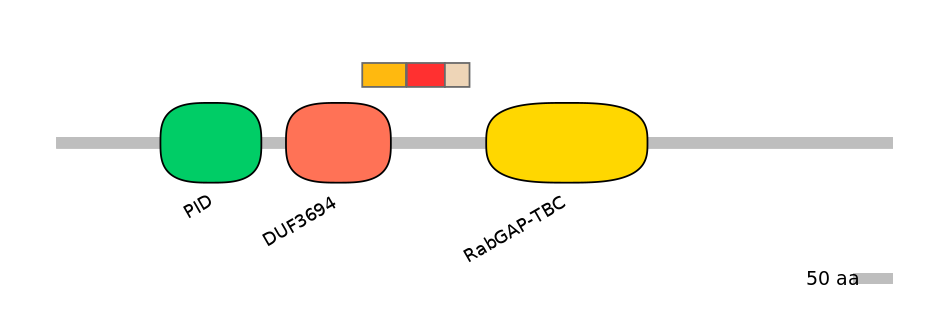 GgaEX1047833-INC