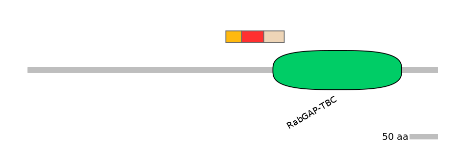 GgaEX1057300-INC