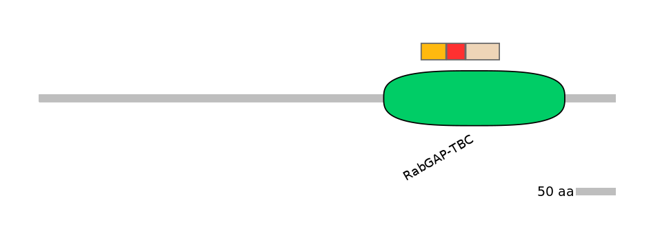 GgaEX1057302-INC