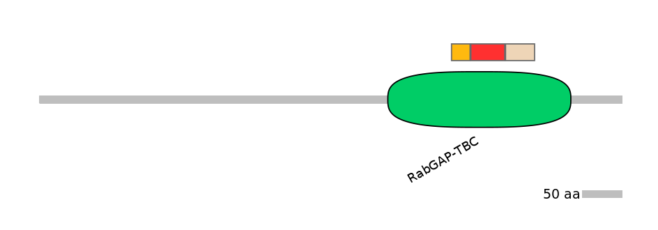 GgaEX1057306-INC