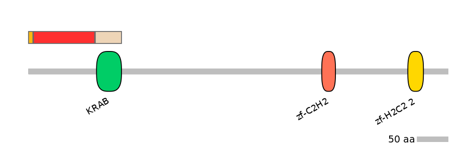 GgaEX1065610-INC