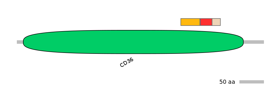GgaEX6013554-INC