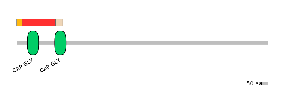 GgaEX6013749-INC