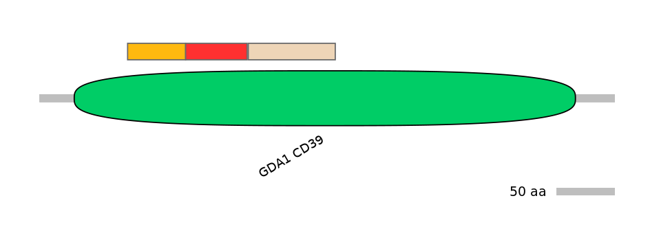GgaEX6014652-INC