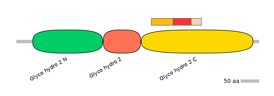 GgaEX6017213-INC