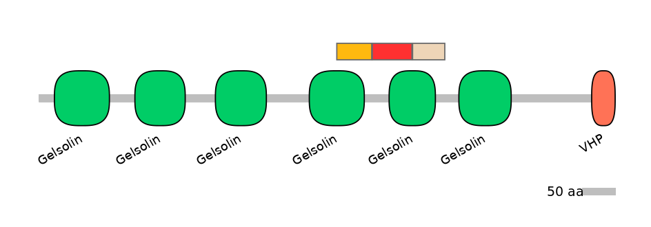 GgaEX6018216-INC