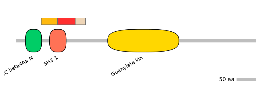 GgaEX6018728-INC