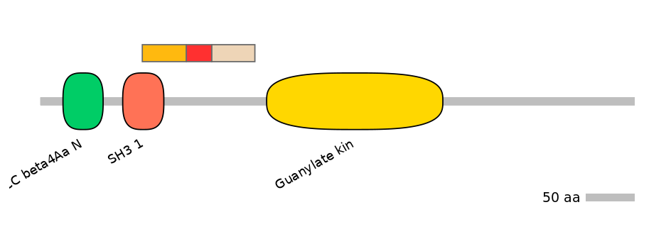 GgaEX6018729-INC