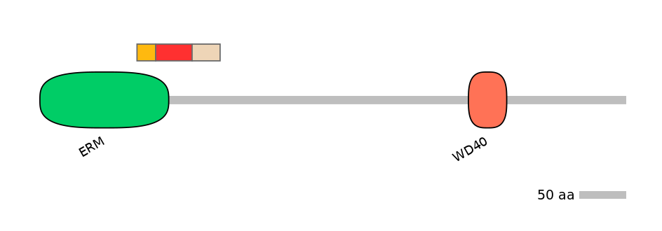 GgaEX6019041-INC
