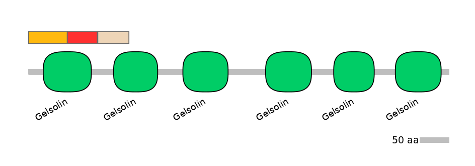 GgaEX6019122-INC