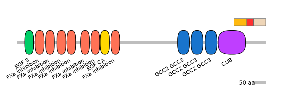GgaEX6026981-INC