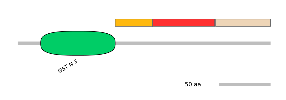 GgaEX6032975-INC