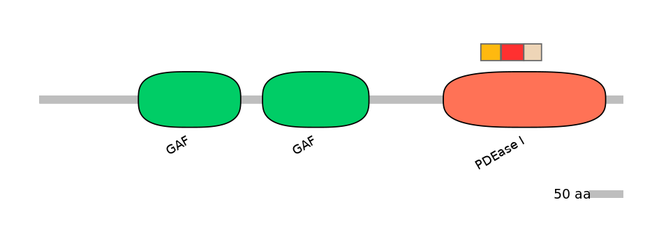GgaEX6035041-INC