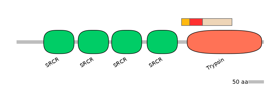 GgaEX6035082-INC