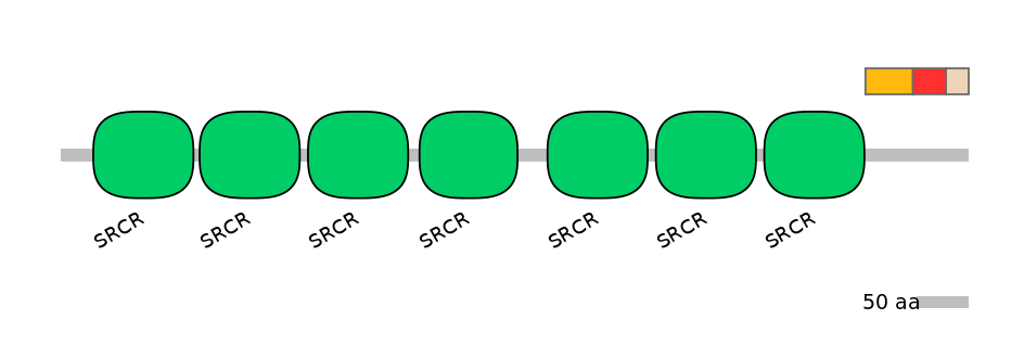 GgaEX6041705-INC