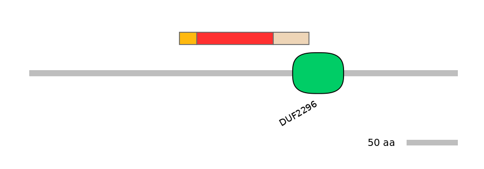 GgaEX6042251-INC
