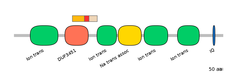 GgaEX6042531-INC