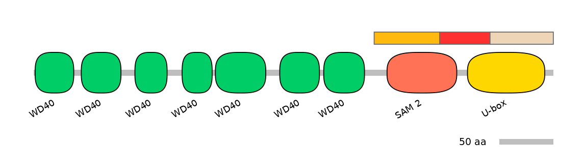 GgaEX6043387-INC