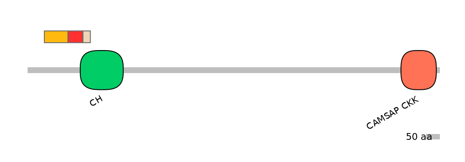 GgaEX6043441-INC
