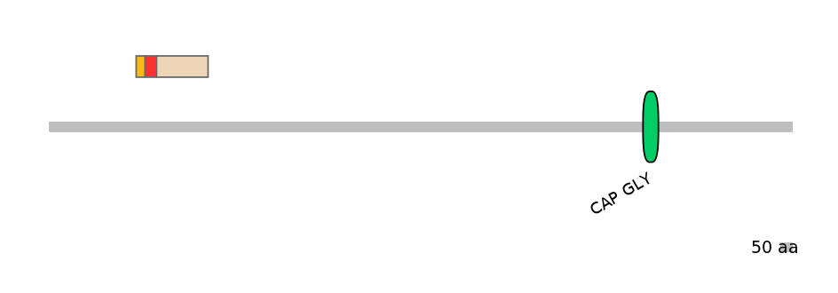 GgaEX6043771-INC