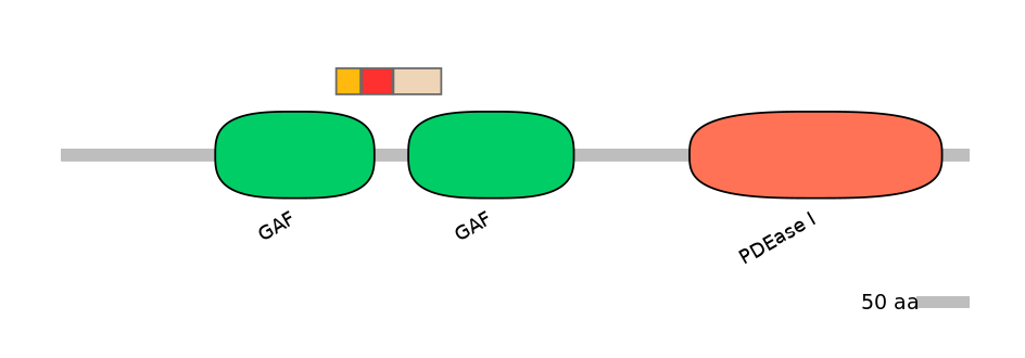 GgaEX7003895-INC