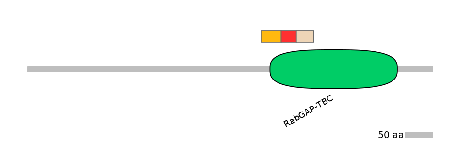 GgaEX7006423-INC