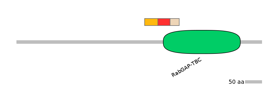 GgaEX7006424-INC