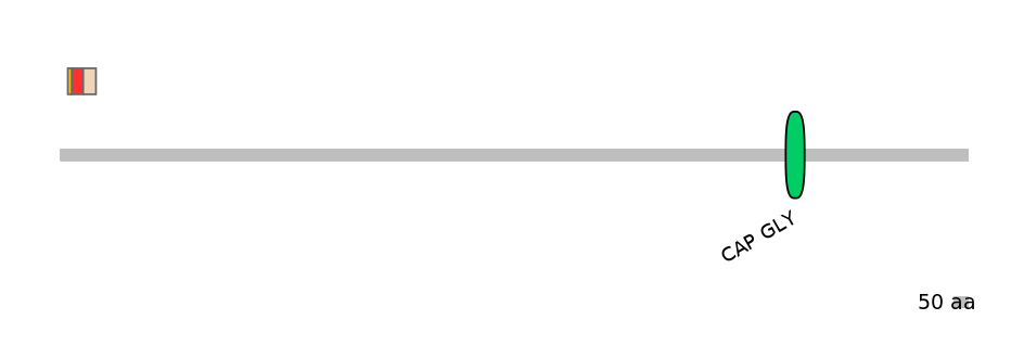 GgaEX7006772-INC