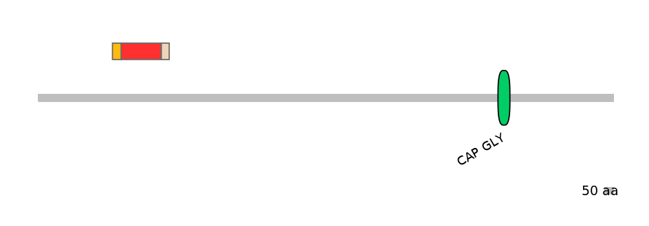GgaEX7006773-INC