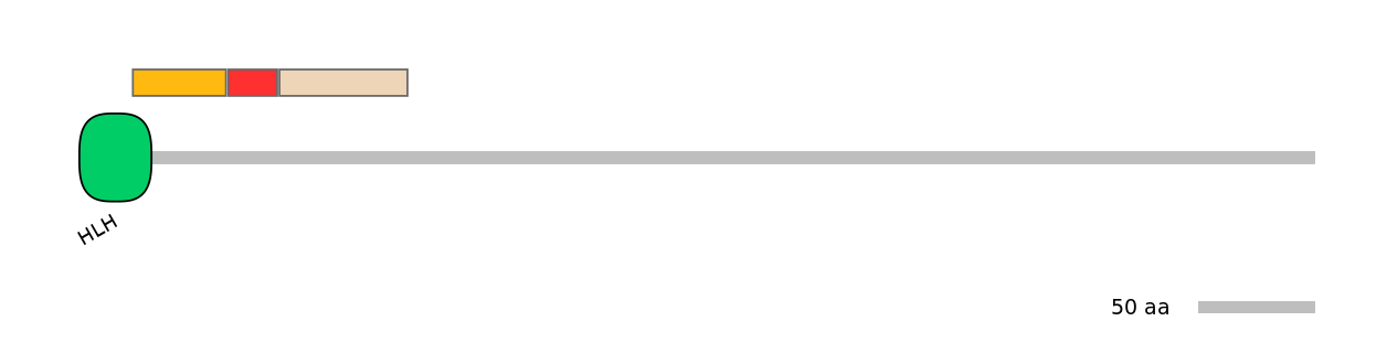 GgaEX7009907-INC