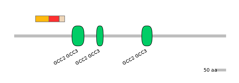 GgaEX7010744-INC