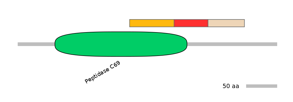GgaEX7011009-INC