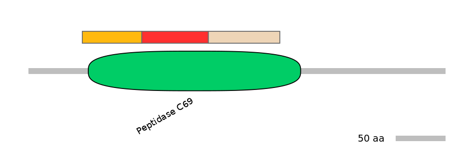 GgaEX7011010-INC