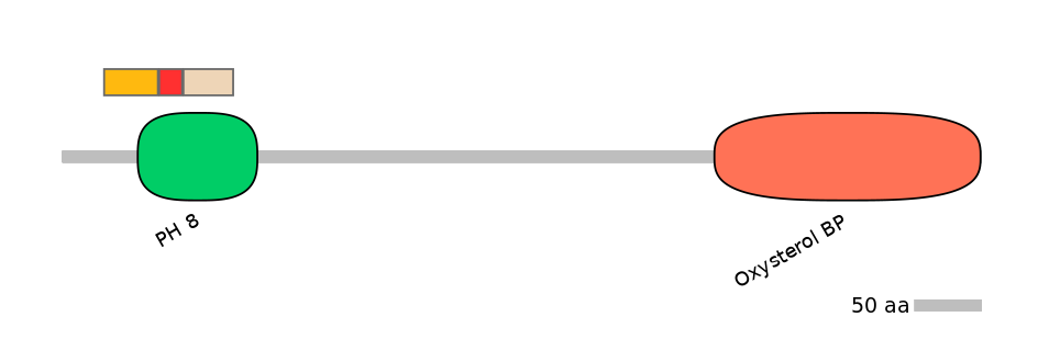 GgaEX7011018-INC