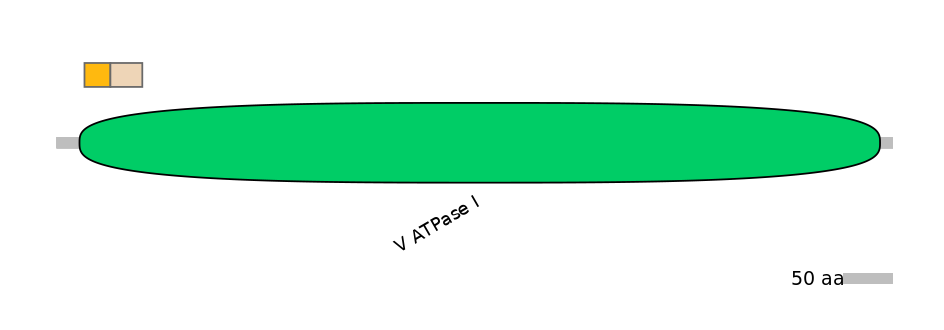 GgaINT0007378-EXC