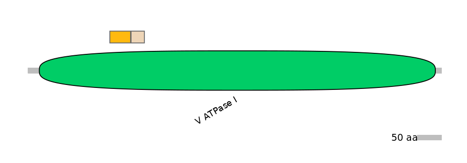 GgaINT0007382-EXC