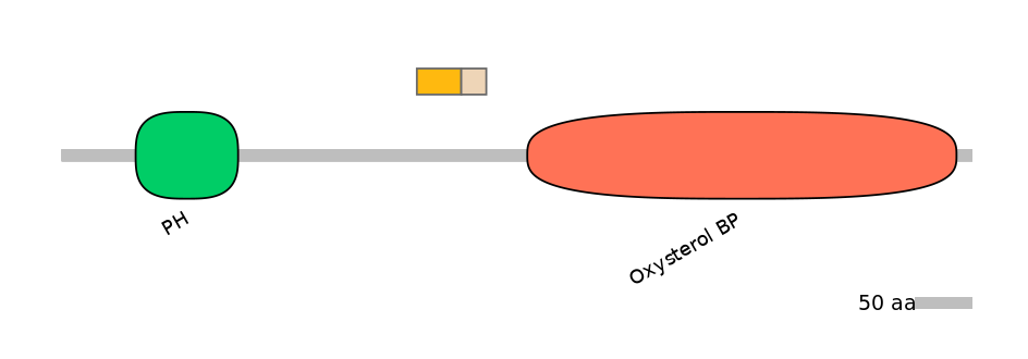 GgaINT0008011-EXC