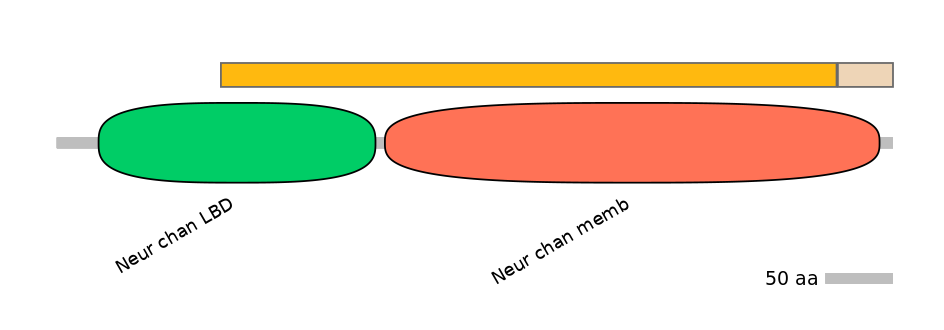 GgaINT0010162-EXC