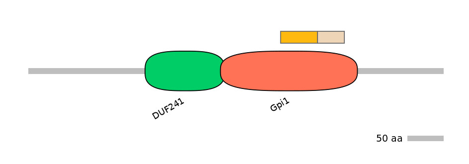 GgaINT0015103-EXC