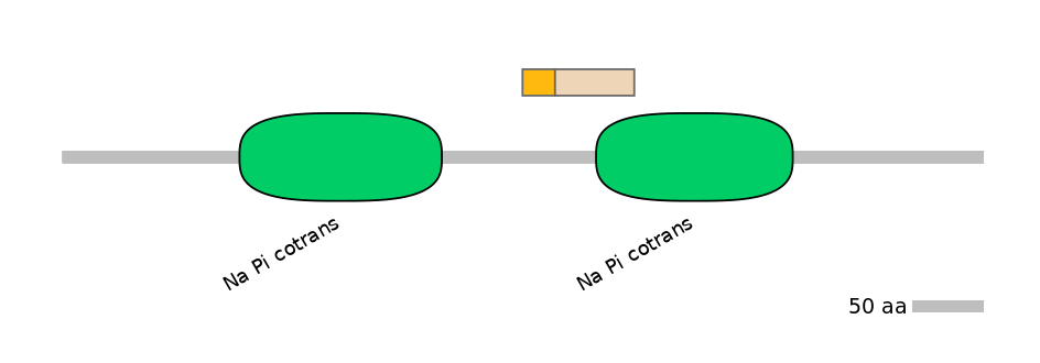 GgaINT0016682-EXC