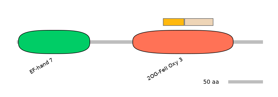 GgaINT0020358-EXC