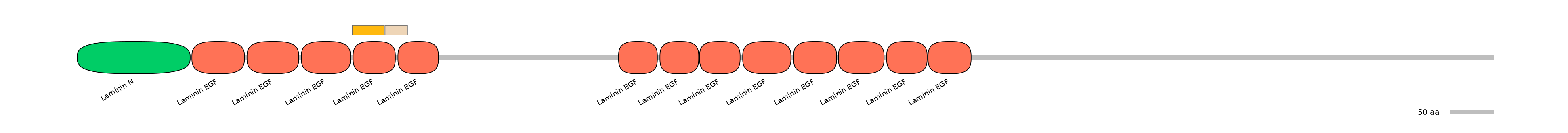 GgaINT0021381-EXC
