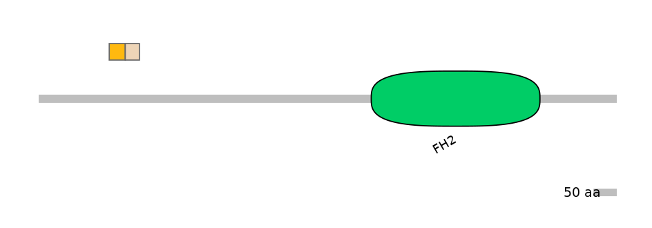 GgaINT0024808-EXC