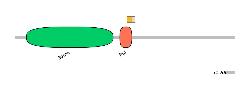 GgaINT0029102-EXC