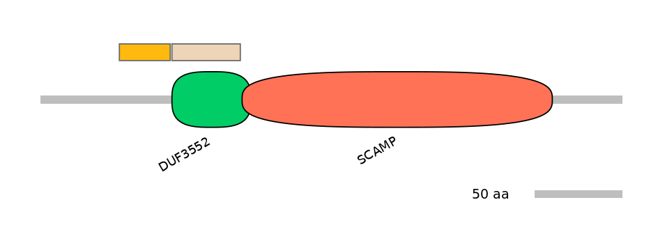 GgaINT0029705-EXC