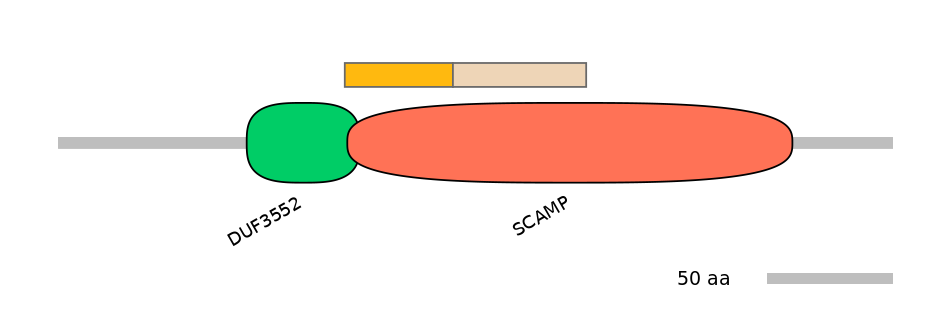 GgaINT0029707-EXC