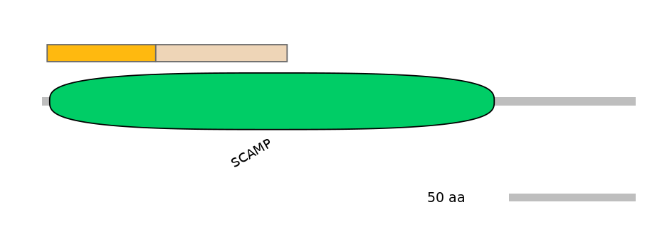 GgaINT0030290-EXC