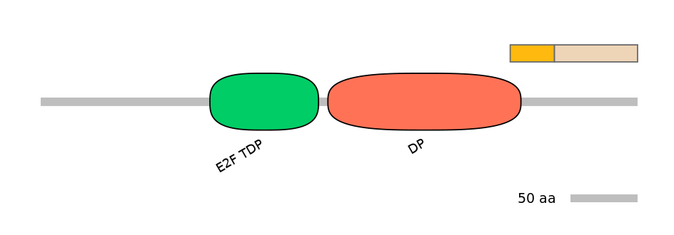 GgaINT0034486-EXC