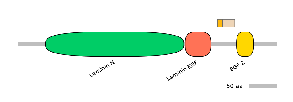 GgaINT0034798-EXC